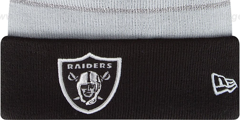 raiders salute to service beanie