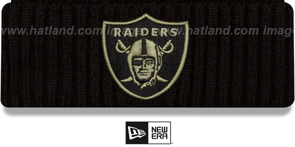 raiders salute to service hat