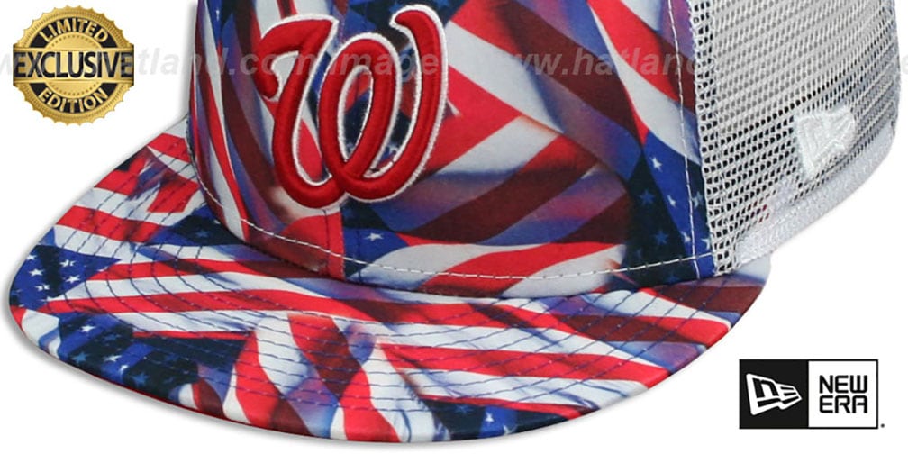 nationals mesh hat