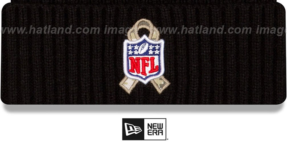 raiders salute to service hat