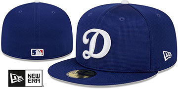 Dodgers 2025 SPRING TRAINING Fitted Hat by New Era