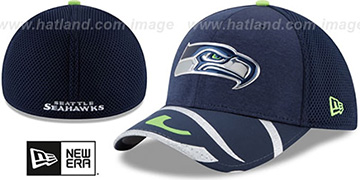 Seahawks 2017 NFL ONSTAGE FLEX Hat by New Era