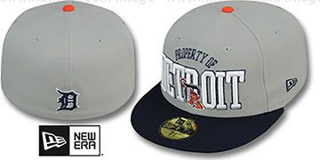 Tigers TEAM-PRIDE Grey-Navy Fitted Hat by New Era