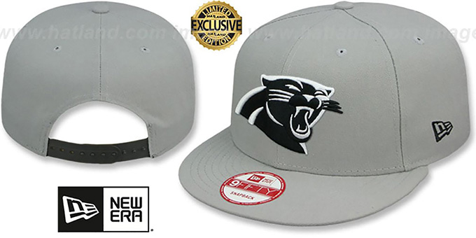 Panthers 'NFL TEAM-BASIC SNAPBACK' Grey-Black Hat by New Era