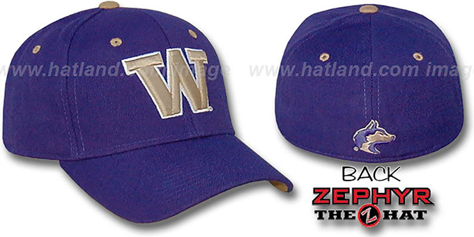 Washington 'DH' Fitted Hat by ZEPHYR - purple