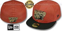 Grizzlies BASKET-BALLIN Fitted Hat by New Era