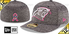 Panthers 2016 LOW-CROWN BCA Grey Fitted Hat by New Era