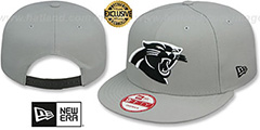 Panthers NFL TEAM-BASIC SNAPBACK Grey-Black Hat by New Era