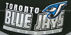 Blue Jays SLICE-N-DICE SNAPBACK Black-Grey Hat by New Era - 2nd View