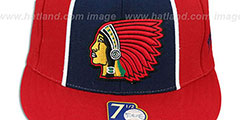 Boston Braves ZELLA Fitted Hat by Mitchell and Ness - 2nd View