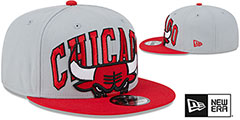 Bulls 2023 TIP OFF SNAPBACK Grey-Red Hat by New Era - 2nd View