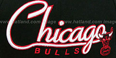 Bulls 2T CHARZ SNAPBACK Black-Red Hat by New Era - 2nd View