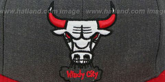 Bulls 2T-HEATHER SNAPBACK Grey-Red Hat by Mitchell and Ness - 2nd View