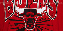 Bulls EARTHQUAKE Red T-Shirt by Mitchell and Ness - 2nd View