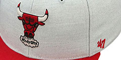 Bulls HWC SATCHEL SNAPBACK Grey-Red Adjustable Hat by Twins 47 Brand - 2nd View