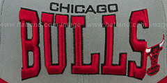 Bulls PRO-ARCH Grey-Red Fitted Hat by New Era - 2nd View