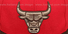 Bulls TC-BROWN SUEDE STRAPBACK Hat Mitchell and Ness - 2nd View