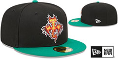 Dragons MILB MARVEL DEFENDERS Black-Green Fitted Hat by New Era - 2nd View