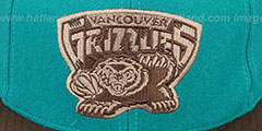 Grizzlies TC-BROWN SUEDE STRAPBACK Hat Mitchell and Ness - 2nd View