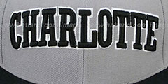 Hornets 2T XL-WORDMARK Grey-Black Fitted Hat by Mitchell and Ness - 2nd View