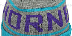 Hornets HIGH-5 CIRCLE BEANIE Grey-Teal by Mitchell and Ness - 2nd View