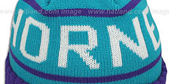 Hornets HIGH-5 CIRCLE BEANIE Teal-Purple by Mitchell and Ness - 2nd View