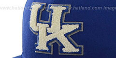 Kentucky NCAA CATERPILLAR Royal Fitted Hat by 47 Brand - 2nd View