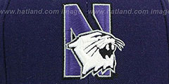 Northwestern DH Purple Fitted Hat by Zephyr - 2nd View