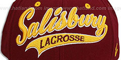 Salisbury SWOOP LACROSSE Burgundy Fitted Hat by Zephyr - 2nd View