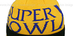 Steelers SUPER BOWL X Black Knit Beanie Hat by New Era - 2nd View