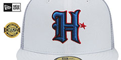 Texans TEAM-BASIC TRUCKER White Fitted Hat by New Era - 2nd View