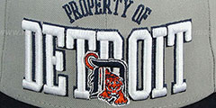 Tigers TEAM-PRIDE Grey-Navy Fitted Hat by New Era - 2nd View