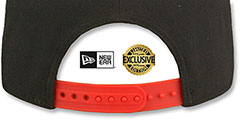 Browns DAWG TEAM-BASIC SNAPBACK Brown Hat by New Era - 3rd View