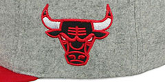 Bulls 2T TAILSWEEPER STRAPBACK Grey-Red Hat by Mitchell and Ness - 3rd View