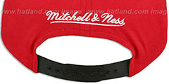 Bulls NATIVE-STRIPE SNAPBACK Red Hat by Mitchell and Ness - 3rd View