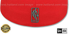 Bulls NBA TEAM-BASIC Fire Red-Charcoal Fitted Hat by New Era - 3rd View