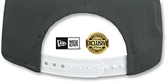 Dodgers TEAM-BASIC SNAPBACK Charcoal-White Hat by New Era - 3rd View