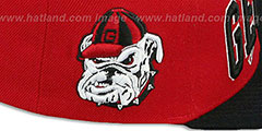 Georgia LACROSSE SUPER-ARCH SNAPBACK Red-Black Hat by Zephyr - 3rd View