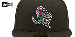 Hammerheads MILB ONFIELD HOME Black Fitted Hat by New Era - 3rd View