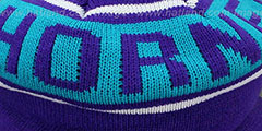 Hornets RERUN KNIT BEANIE by Mitchell and Ness - 3rd View