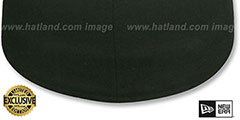 New Era 2T 59FIFTY-BLANK Black-Kelly Fitted Hat - 3rd View