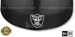 Raiders NFL TEAM-SCRIPT TRUCKER Black-Black Fitted Hat by New Era - 3rd View