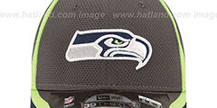 Seahawks 2014 NFL TRAINING FLEX Graphite Hat by New Era - 3rd View