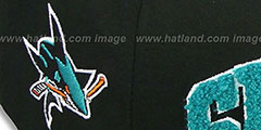 Sharks CHENILLE-ARCH SNAPBACK Black-Teal Hat by New Era - 3rd View