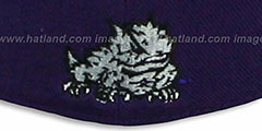 TCU SLIDER Purple Fitted Hat by Zephyr - 3rd View