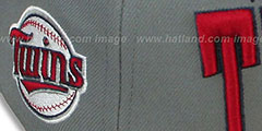 Twins PRO-ARCH Grey-Red Fitted Hat by New Era - 3rd View