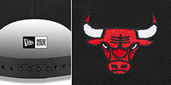 Bulls TEAM-SCRIPT SNAPBACK Black Hat by New Era - 4th View