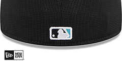 Diamondbacks 2024-25 BATTING PRACTICE Fitted Hat by New Era - 4th View