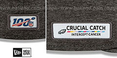 Eagles ONFIELD CRUCIAL CATCH Grey Fitted Hat by New Era - 4th View