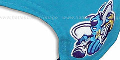 Hornets TEAM-HERO SNAPBACK Teal Hat by New Era - 4th View